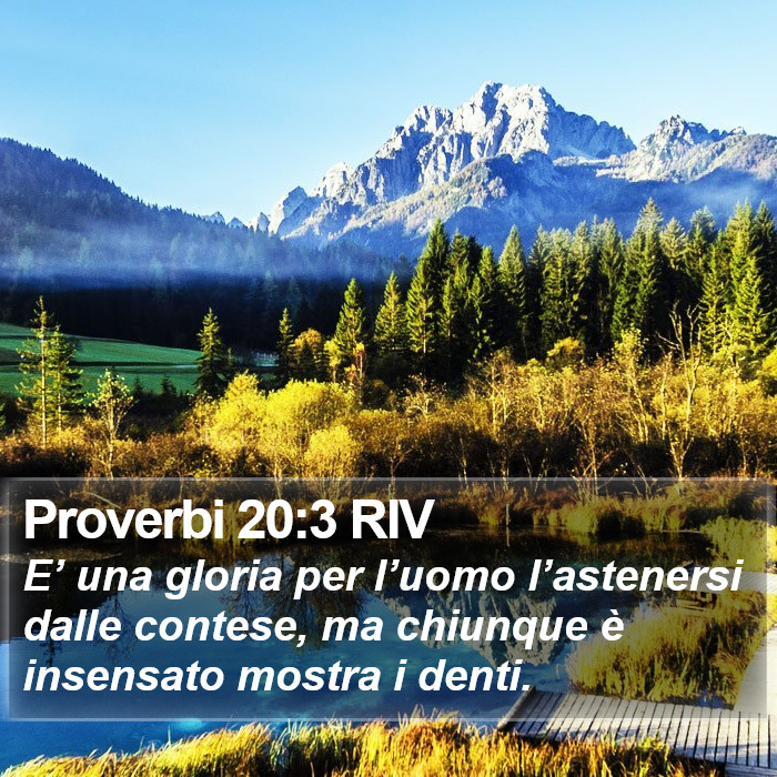 Proverbi 20:3 RIV Bible Study