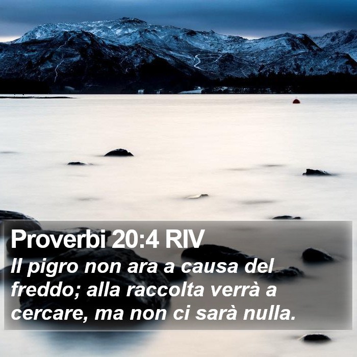 Proverbi 20:4 RIV Bible Study