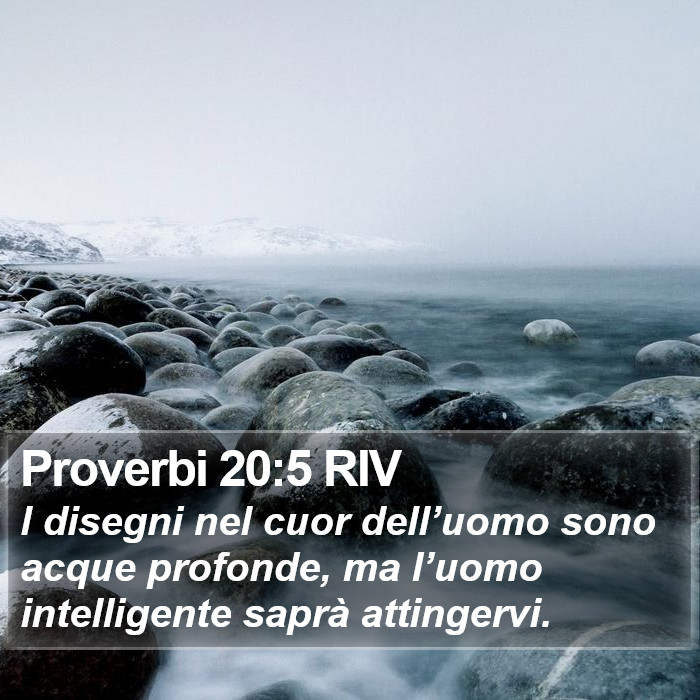 Proverbi 20:5 RIV Bible Study