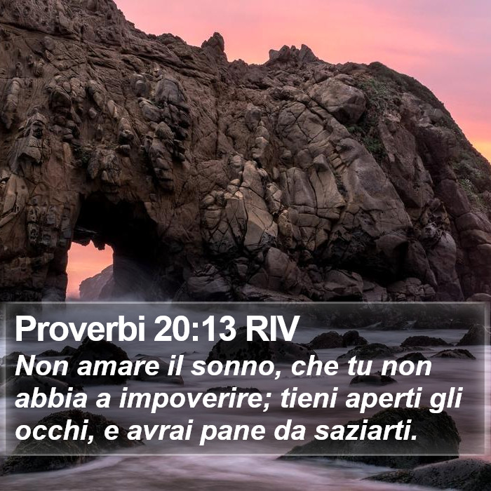 Proverbi 20:13 RIV Bible Study