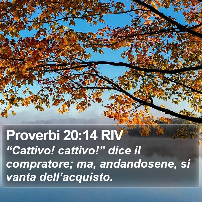 Proverbi 20:14 RIV Bible Study