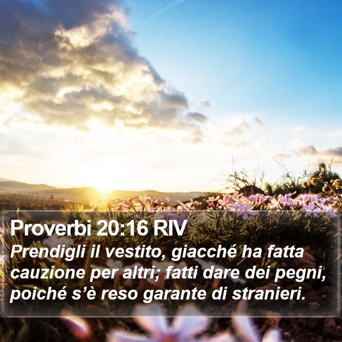 Proverbi 20:16 RIV Bible Study