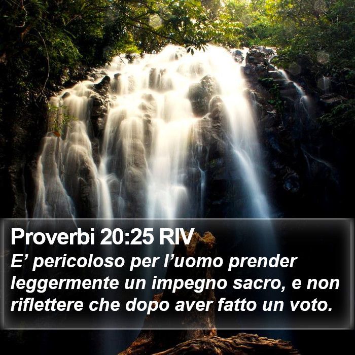 Proverbi 20:25 RIV Bible Study