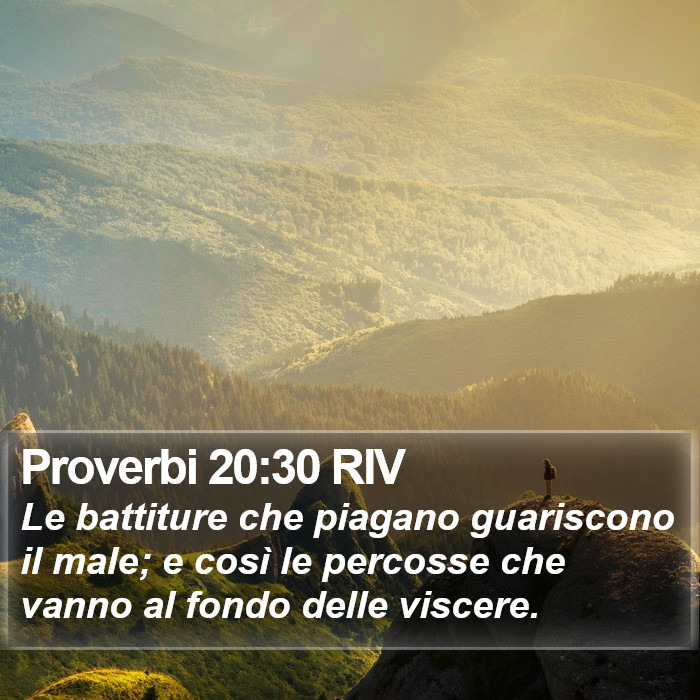 Proverbi 20:30 RIV Bible Study