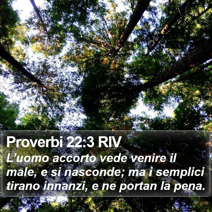 Proverbi 22:3 RIV Bible Study
