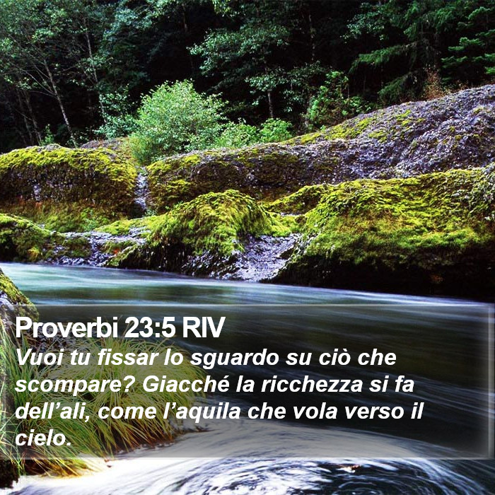 Proverbi 23:5 RIV Bible Study