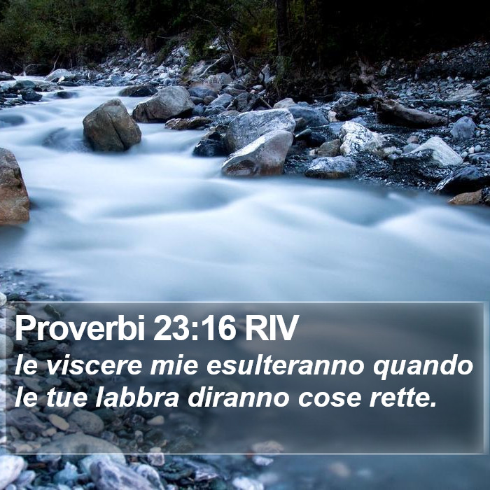 Proverbi 23:16 RIV Bible Study