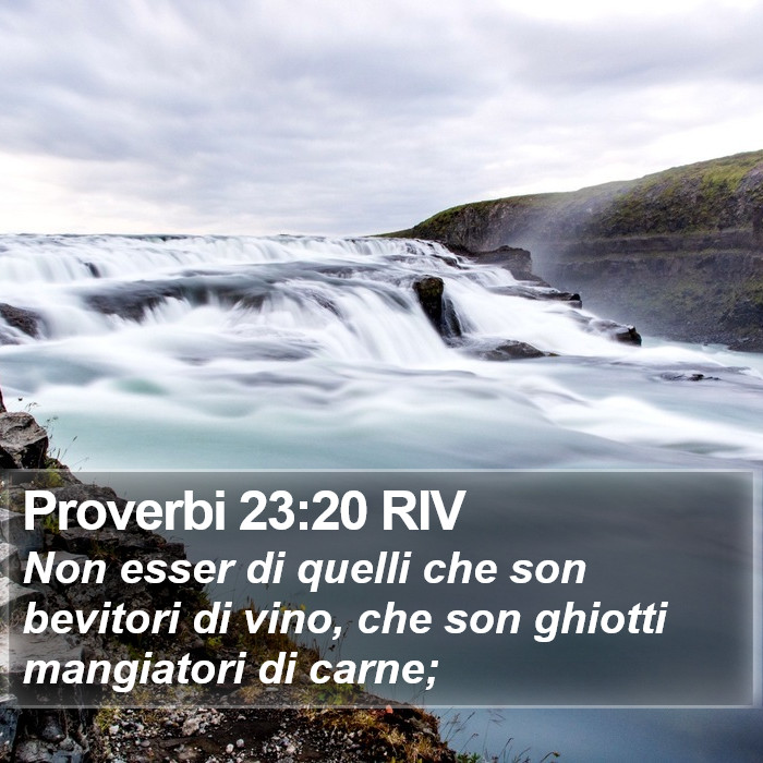 Proverbi 23:20 RIV Bible Study