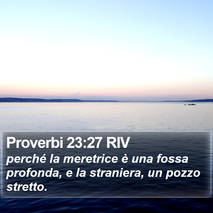 Proverbi 23:27 RIV Bible Study