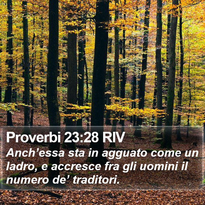 Proverbi 23:28 RIV Bible Study