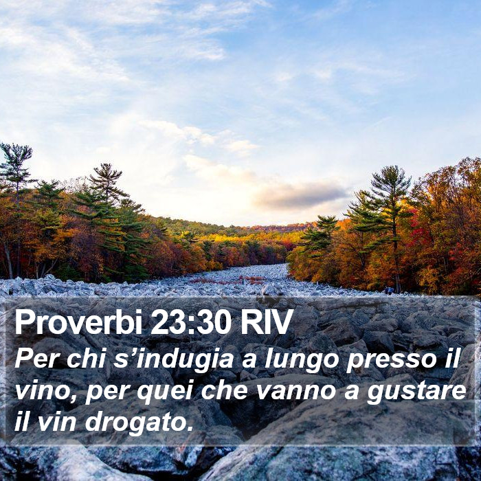 Proverbi 23:30 RIV Bible Study