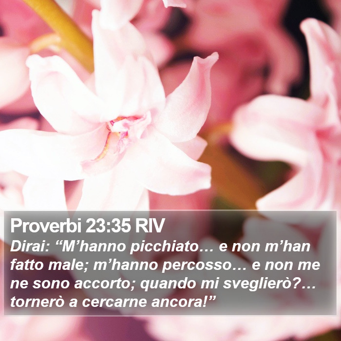 Proverbi 23:35 RIV Bible Study