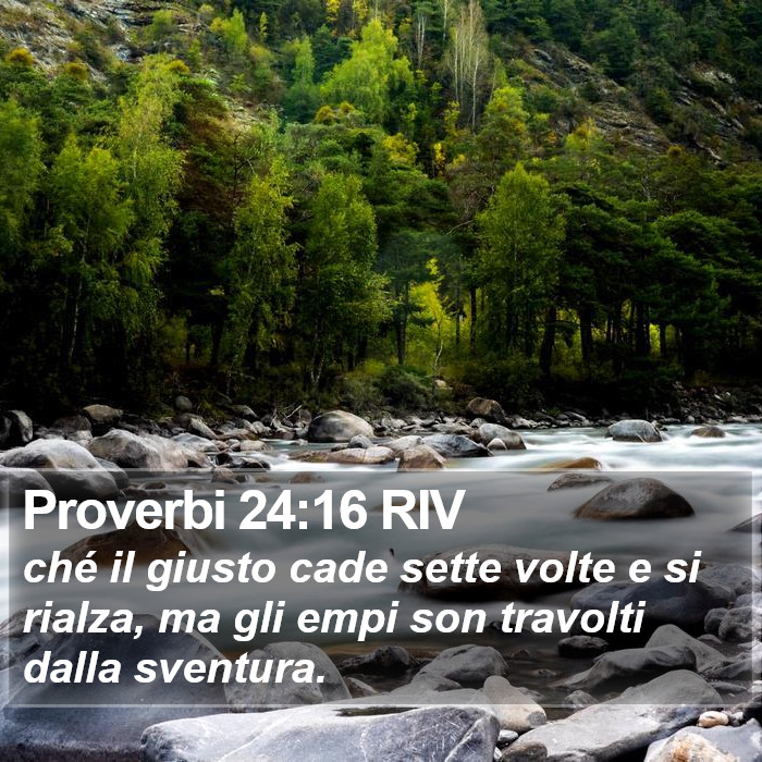 Proverbi 24:16 RIV Bible Study