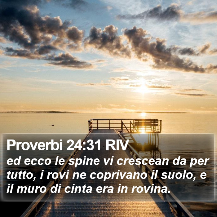 Proverbi 24:31 RIV Bible Study