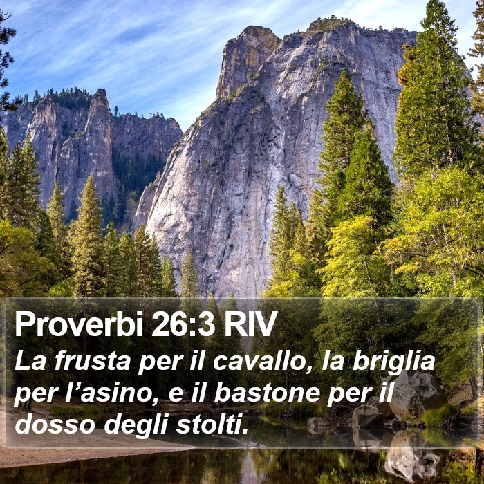 Proverbi 26:3 RIV Bible Study