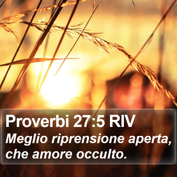 Proverbi 27:5 RIV Bible Study