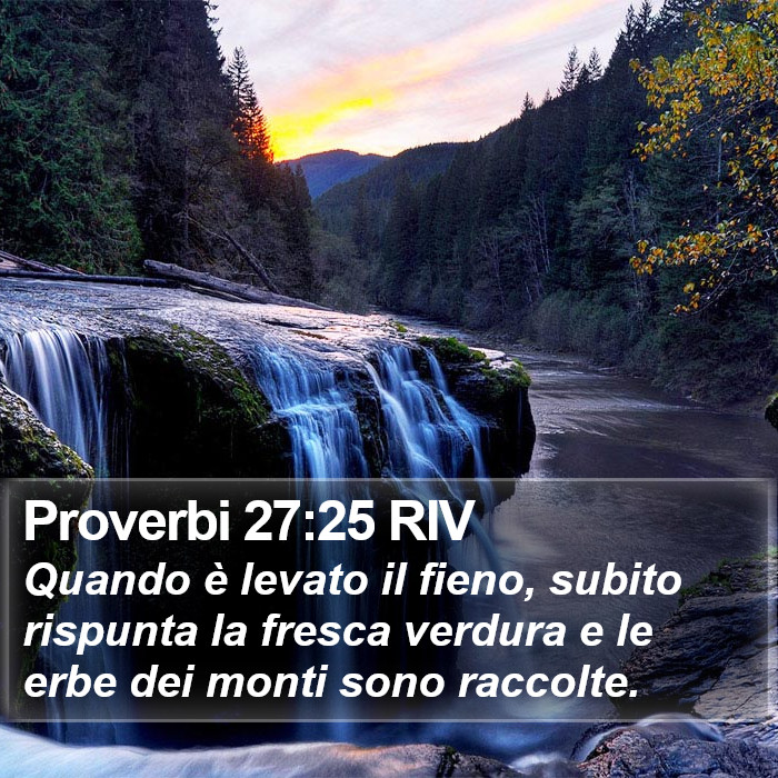 Proverbi 27:25 RIV Bible Study