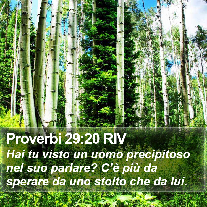 Proverbi 29:20 RIV Bible Study