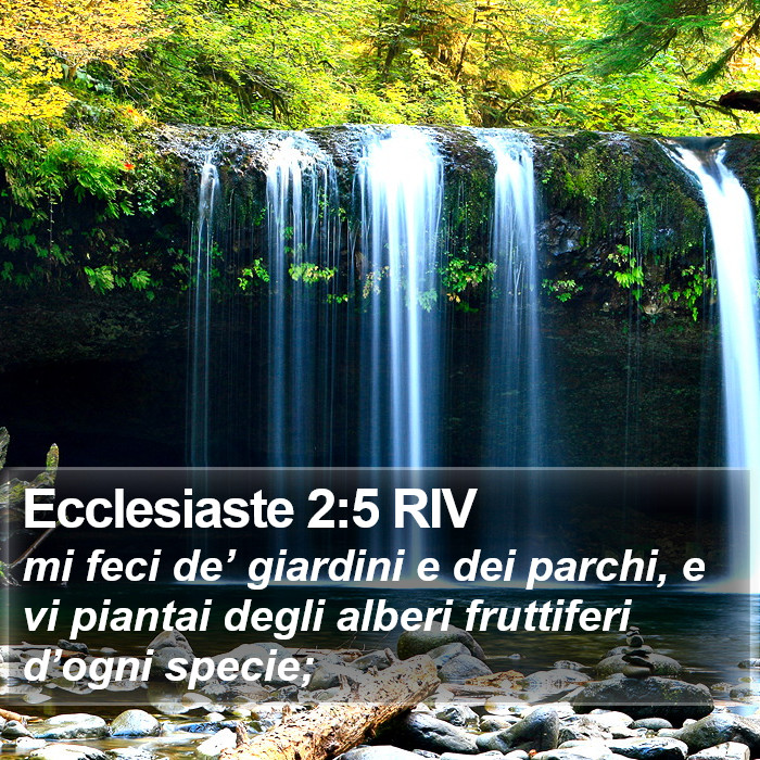 Ecclesiaste 2:5 RIV Bible Study