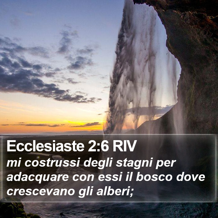 Ecclesiaste 2:6 RIV Bible Study