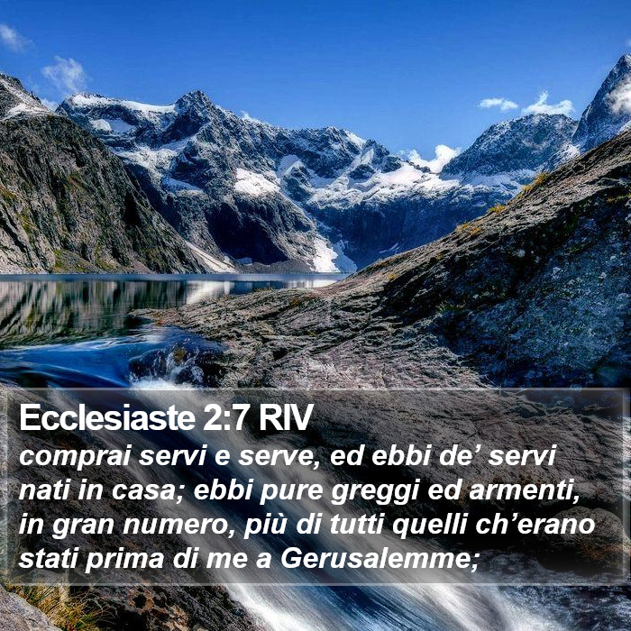 Ecclesiaste 2:7 RIV Bible Study