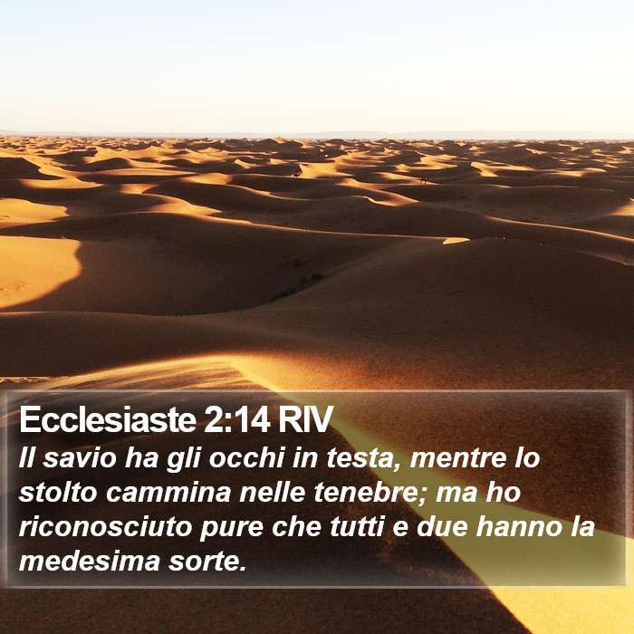 Ecclesiaste 2:14 RIV Bible Study