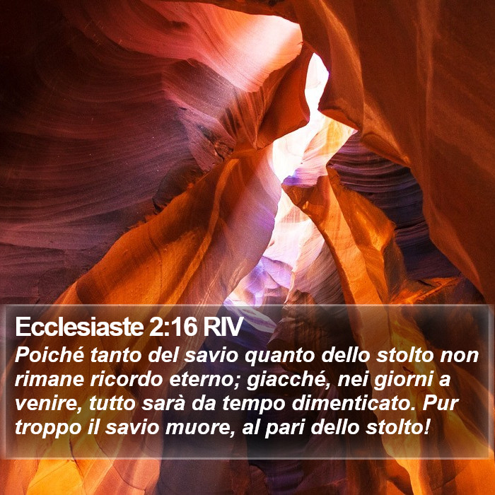 Ecclesiaste 2:16 RIV Bible Study