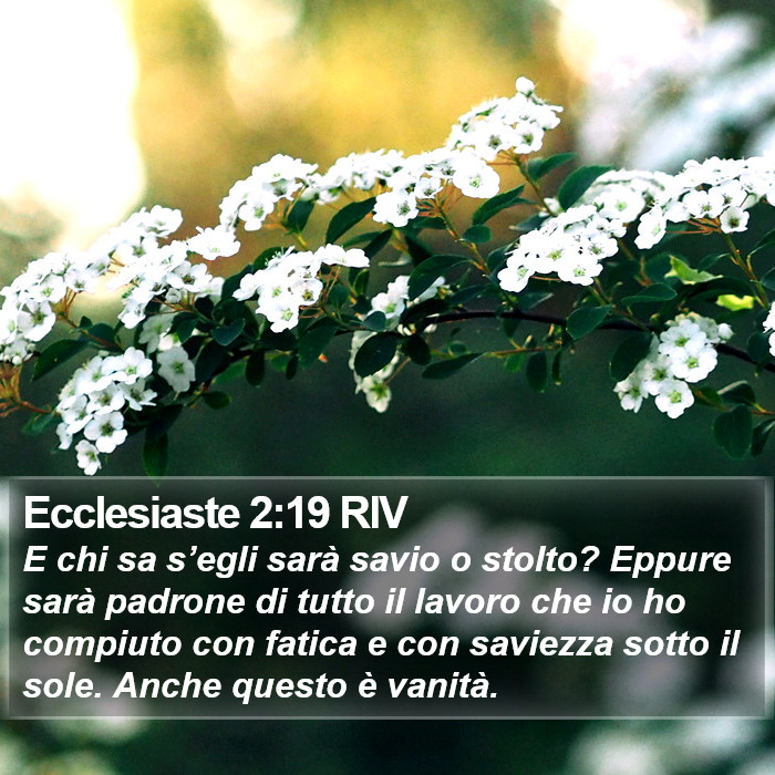 Ecclesiaste 2:19 RIV Bible Study