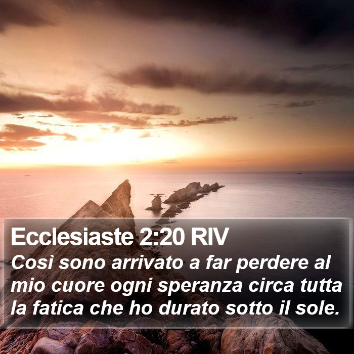 Ecclesiaste 2:20 RIV Bible Study