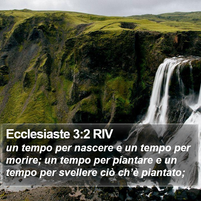 Ecclesiaste 3:2 RIV Bible Study