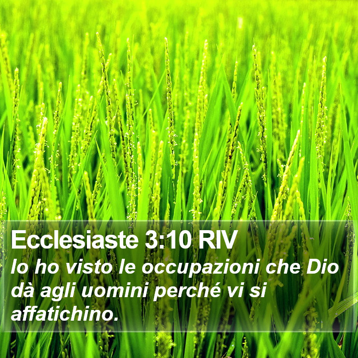Ecclesiaste 3:10 RIV Bible Study