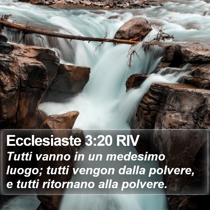 Ecclesiaste 3:20 RIV Bible Study