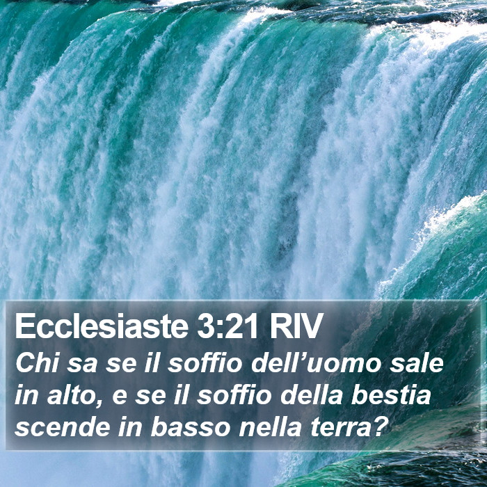 Ecclesiaste 3:21 RIV Bible Study