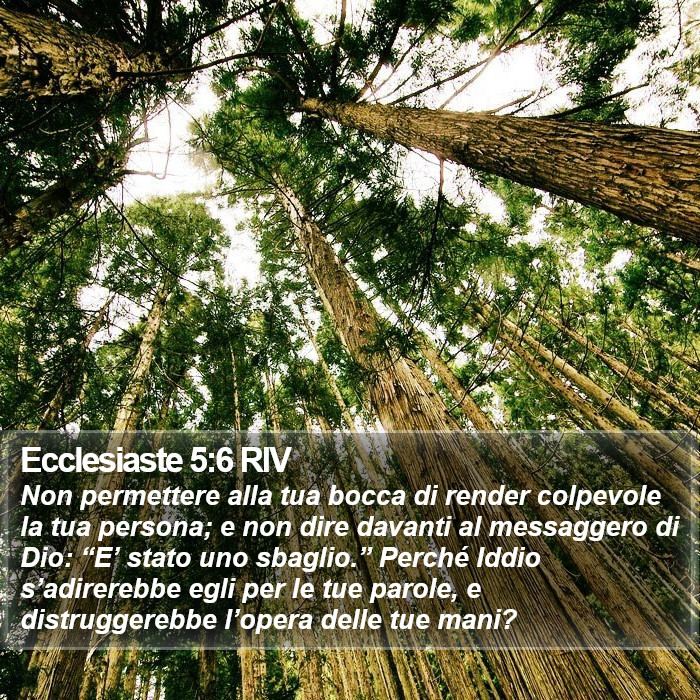 Ecclesiaste 5:6 RIV Bible Study