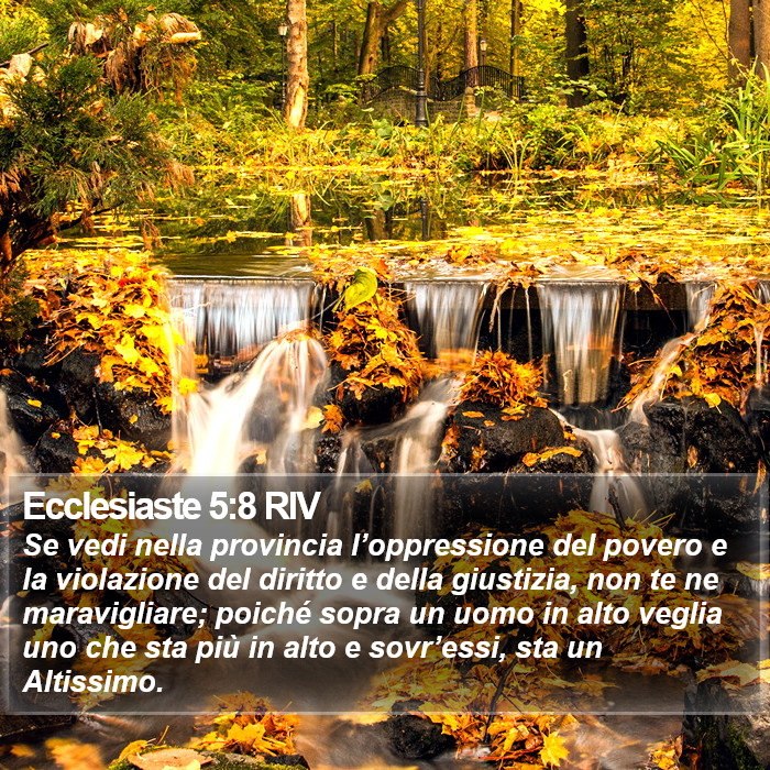 Ecclesiaste 5:8 RIV Bible Study