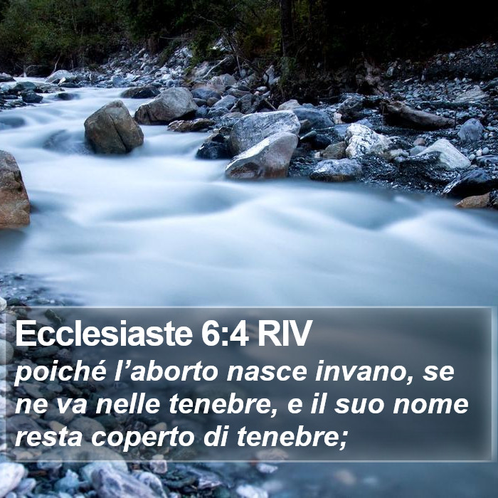 Ecclesiaste 6:4 RIV Bible Study