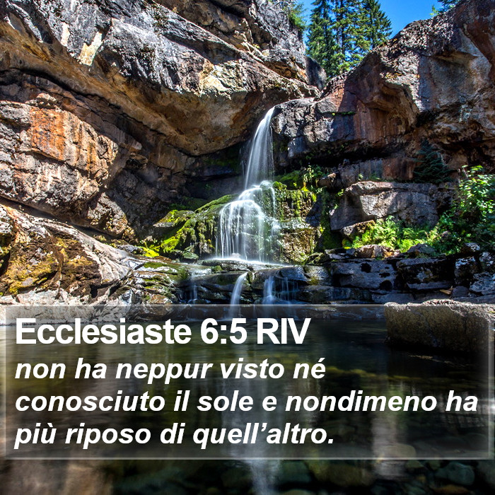 Ecclesiaste 6:5 RIV Bible Study