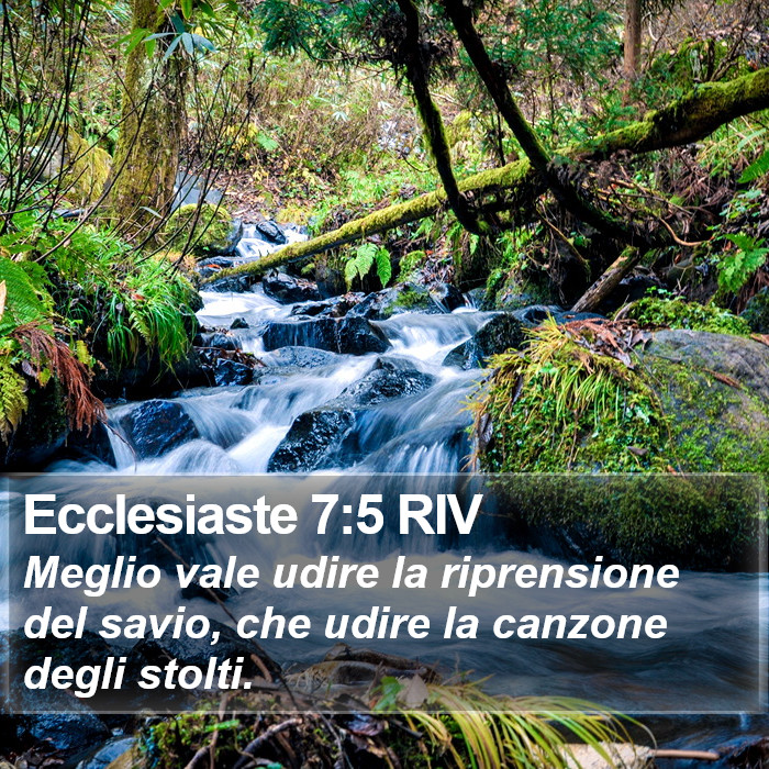 Ecclesiaste 7:5 RIV Bible Study