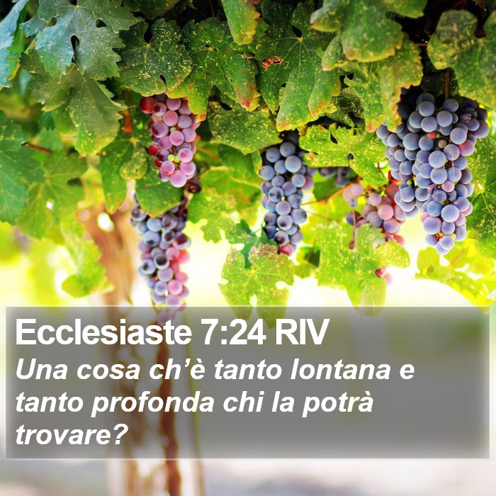 Ecclesiaste 7:24 RIV Bible Study