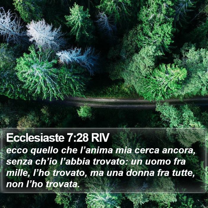 Ecclesiaste 7:28 RIV Bible Study