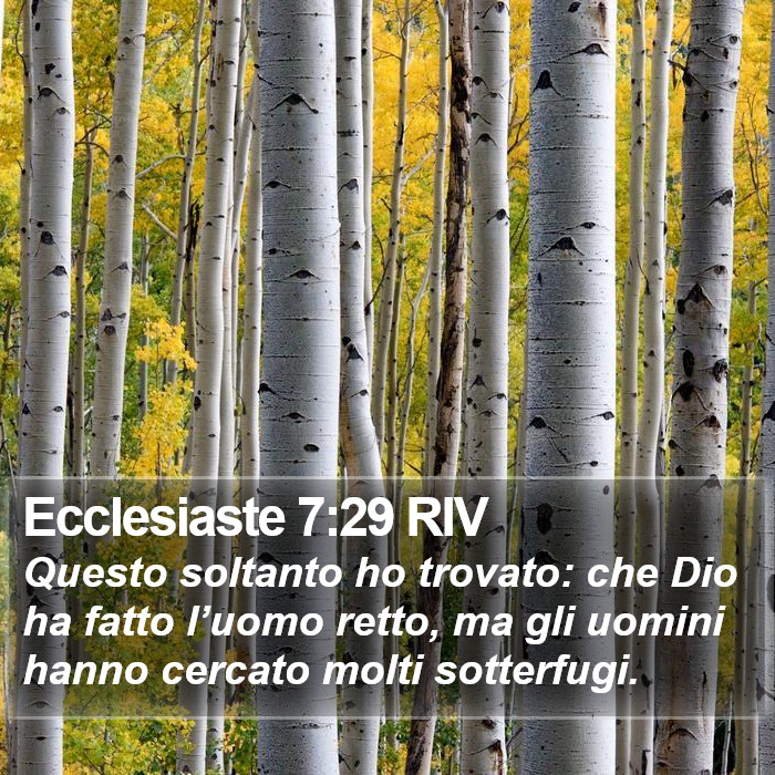 Ecclesiaste 7:29 RIV Bible Study