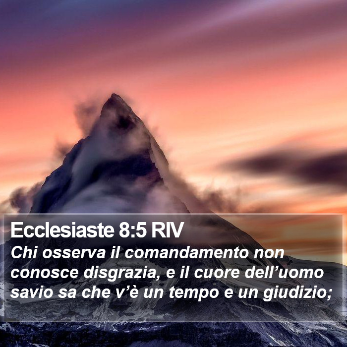 Ecclesiaste 8:5 RIV Bible Study