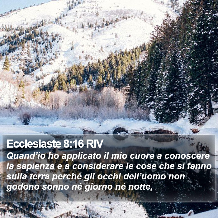 Ecclesiaste 8:16 RIV Bible Study