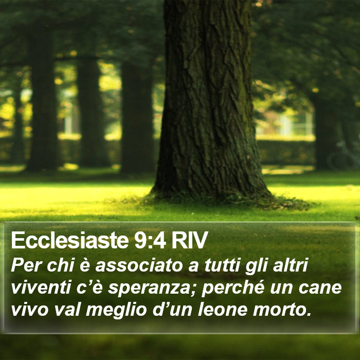 Ecclesiaste 9:4 RIV Bible Study