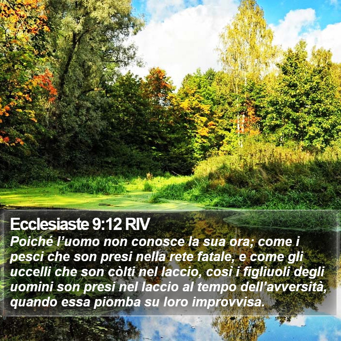 Ecclesiaste 9:12 RIV Bible Study