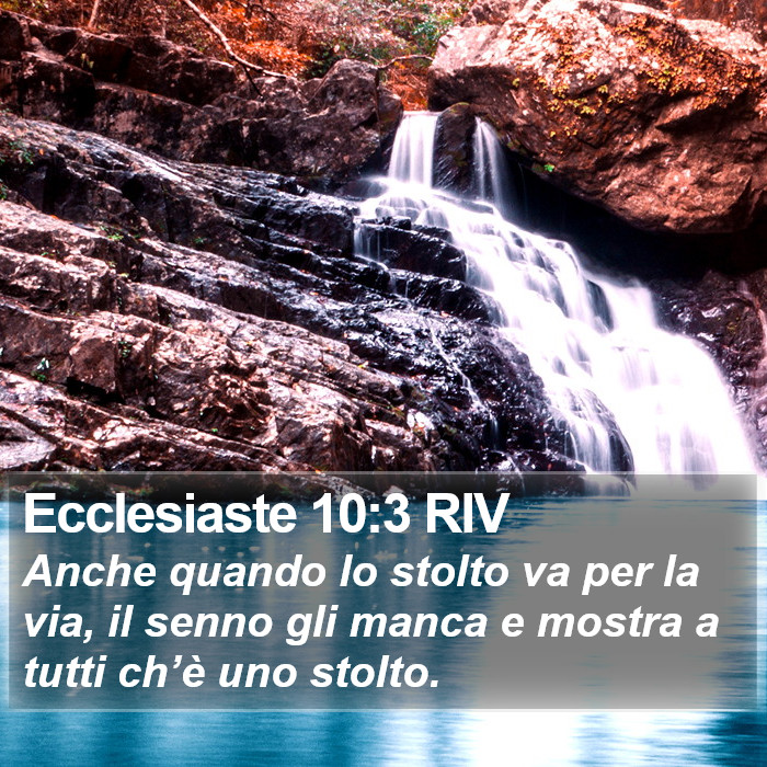 Ecclesiaste 10:3 RIV Bible Study