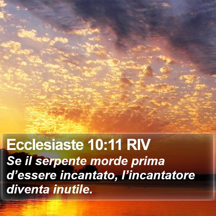 Ecclesiaste 10:11 RIV Bible Study