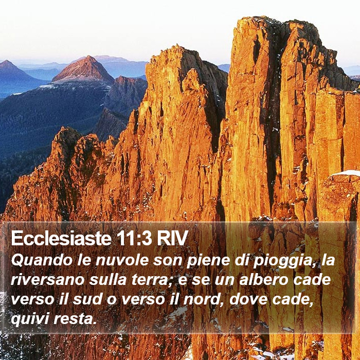 Ecclesiaste 11:3 RIV Bible Study