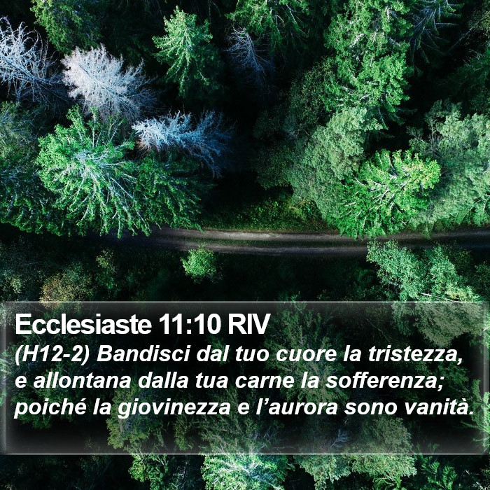 Ecclesiaste 11:10 RIV Bible Study