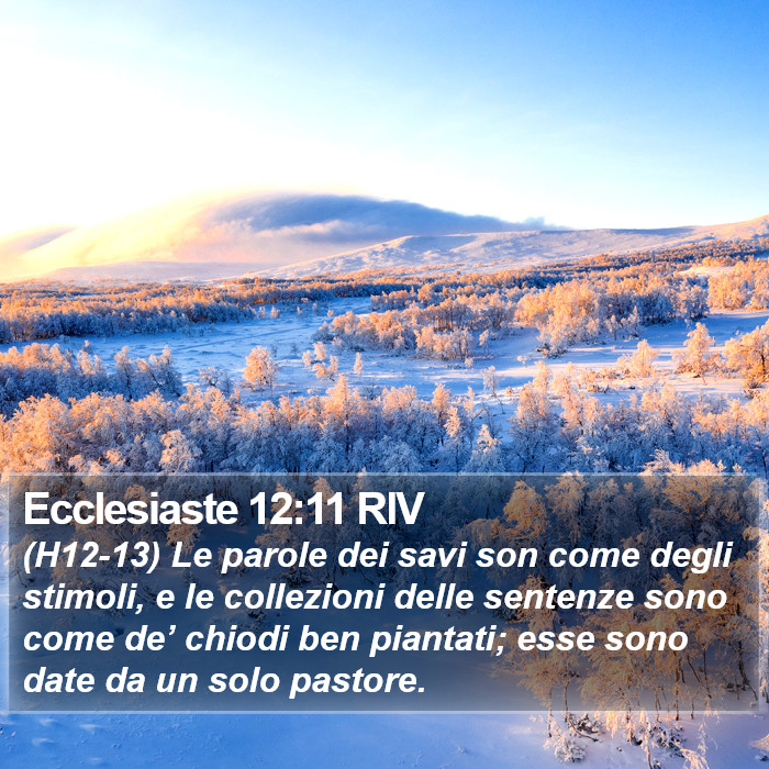 Ecclesiaste 12:11 RIV Bible Study